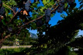 2021 UEC Road European Championships - Trento - Women Junior TT 22,5 km - 08/09/2021 - Scenery - photo Dario Belingheri/BettiniPhoto?2021